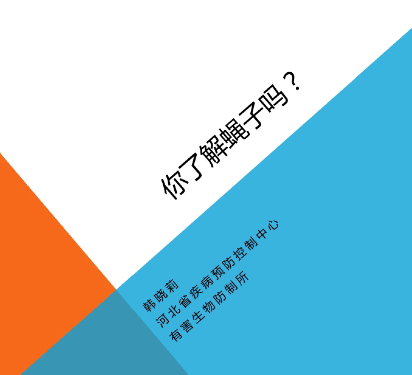 你了解蝇吗