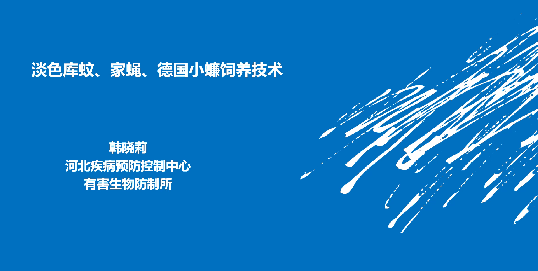蚊蝇蟑饲养技术